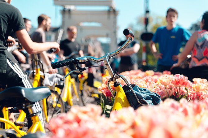 Amsterdam Small Group Bike Tour - Key things to know before you book