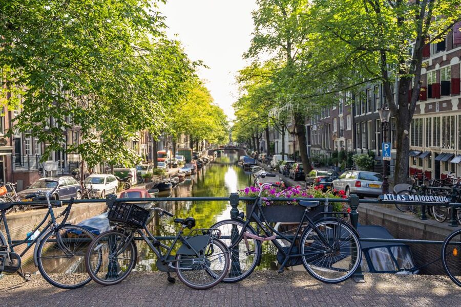 Amsterdam Small-Group Walking Tour - Why this walk works well as your Amsterdam starting point