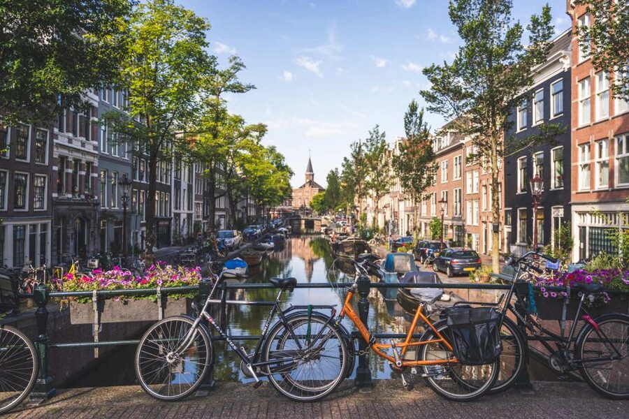 Amsterdam Small-Group Walking Tour - The guides make the difference