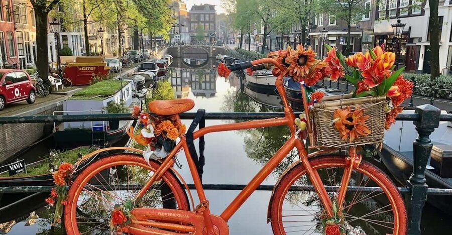 Amsterdam: Small Group Walking Tour with Fun Guide - Key points at a glance