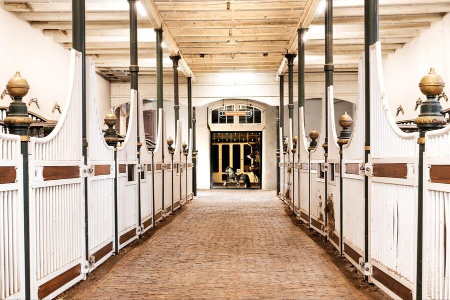 Amsterdam: The 'Hollandsche Manege' Stables Entry Ticket - Entering a 1744 riding school in central Amsterdam
