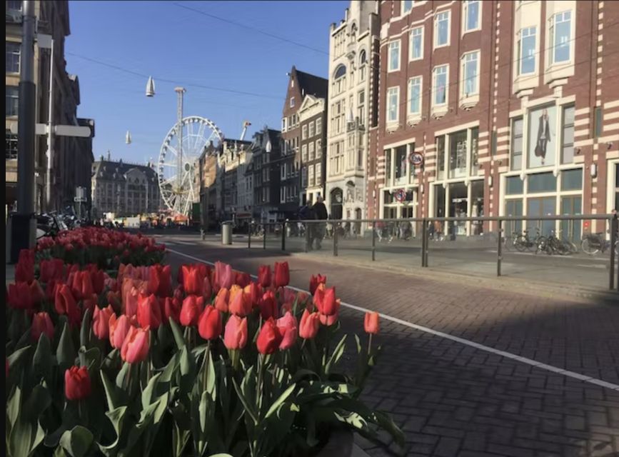 Amsterdam: The Story of History & Culture Walking Tour - Tolkien the dog and the small-group atmosphere