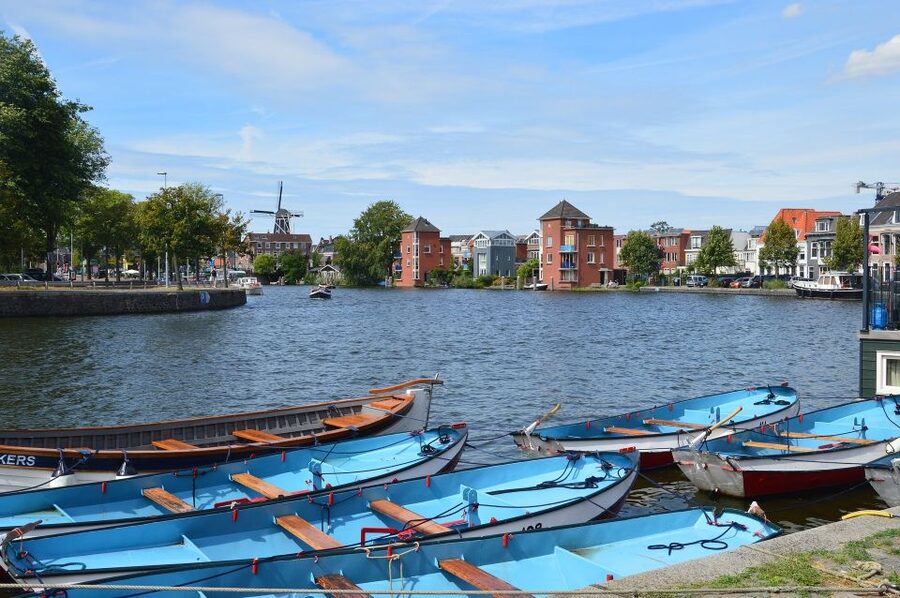 Amsterdam to Haarlem: Private Day-Trip Experience - Climbing Molen de Adriaan