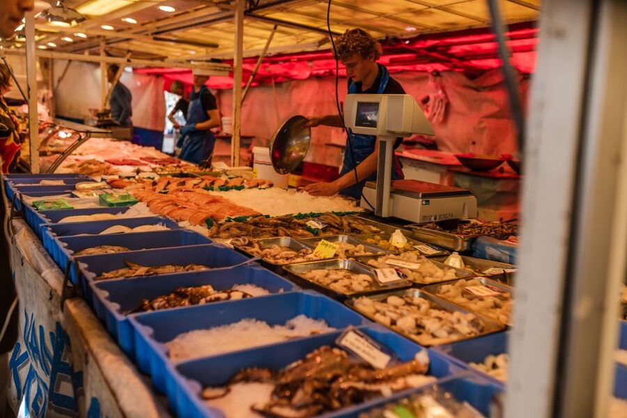 Amsterdam to Haarlem: Private Day-Trip Experience - What $182 per person really buys