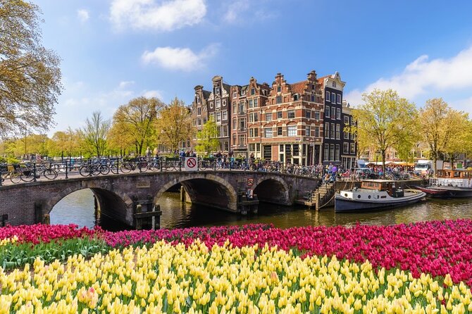 Amsterdam to Schiphol Airport Private Transfer - Is $73.21 per person good value?