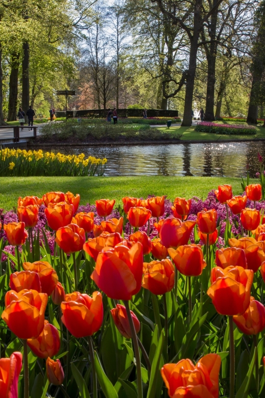 Amsterdam: Tour to Keukenhof Gardens with Windmill Cruise - The one-hour ride from Amsterdam to Warmond