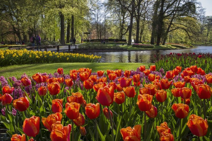 Amsterdam: Tour to Keukenhof Gardens with Windmill Cruise - Warmond and the Kaag Lakes windmill cruise