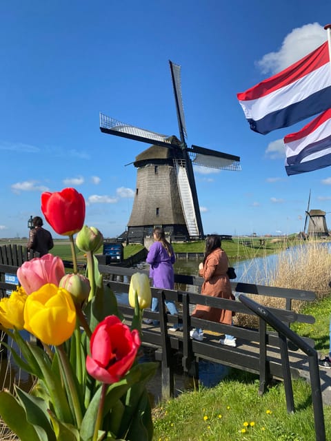 Amsterdam: Tulip Fields Day Tour with Lunch & Windmill - Three tulip fields, three chances for good photographs