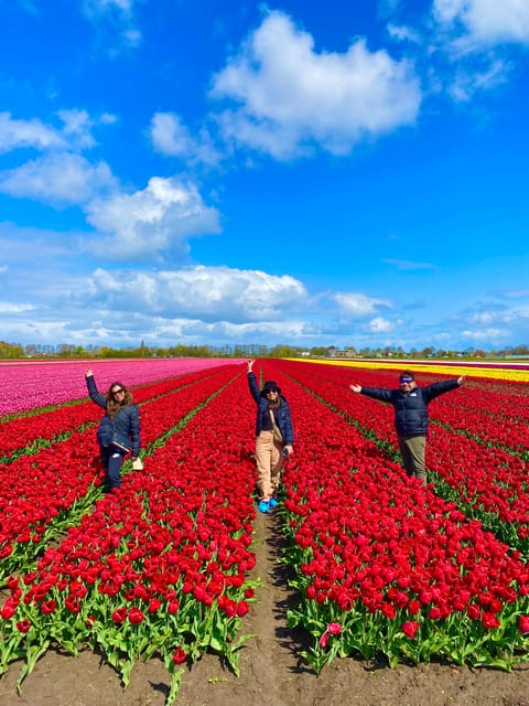 Amsterdam: Tulip Fields Day Tour with Lunch & Windmill - The 1633 windmill and a working piece of Dutch engineering