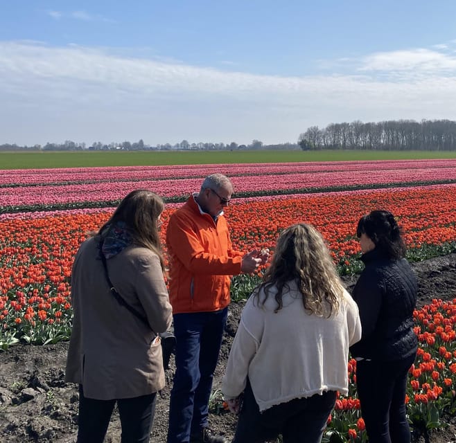 Amsterdam: Tulip Fields Day Tour with Lunch & Windmill - What the guides add to the day