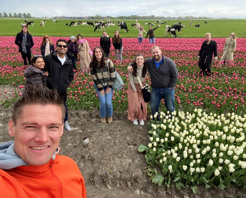 Amsterdam: Tulip Fields Day Tour with Lunch & Windmill - Comfort, timing, and practical planning