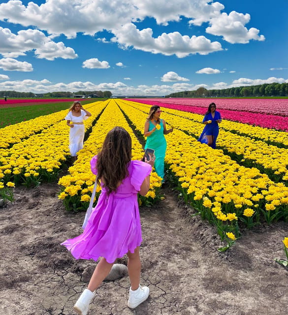 Amsterdam: Tulip Fields Day Tour with Lunch & Windmill - Starting at Market 27 and crossing north