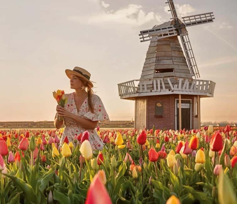 Amsterdam : Tulip Wonderland Tour - Key Points Before You Book