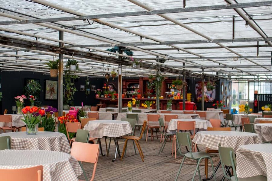 Amsterdam : Tulip Wonderland Tour - What $37 Really Gets You