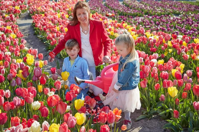Amsterdam : Tulip Wonderland Tour - Why the Tulip Barn Works for Photos