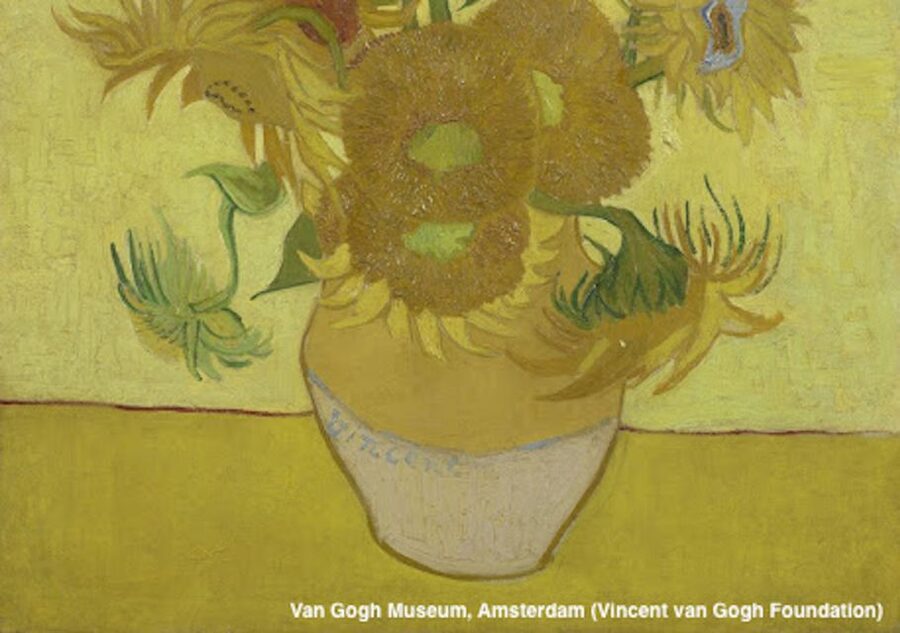 Amsterdam: Van Gogh Museum Guided Tour with Entry - Meeting at Paulus Potterstraat 7