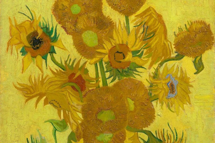 Amsterdam: Van Gogh Museum Ticket - Is $32 a fair price?