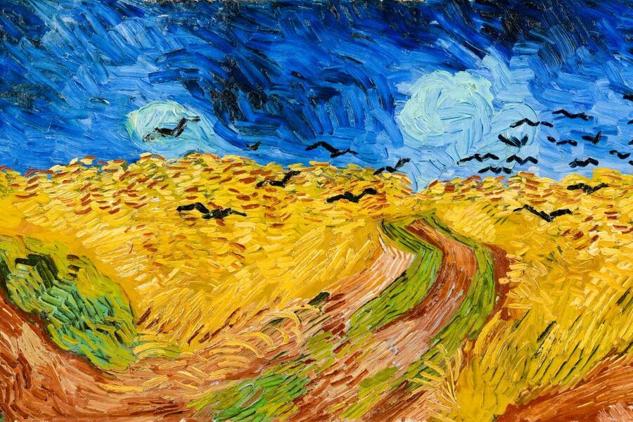 Amsterdam: Van Gogh Museum Ticket - Crowds, lockers, and comfort