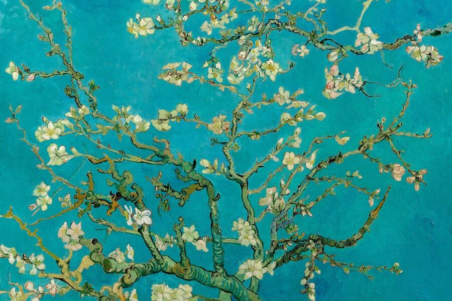Amsterdam: Van Gogh Museum Ticket and City Canal Cruise - Why the museum works for families and first-time art visitors
