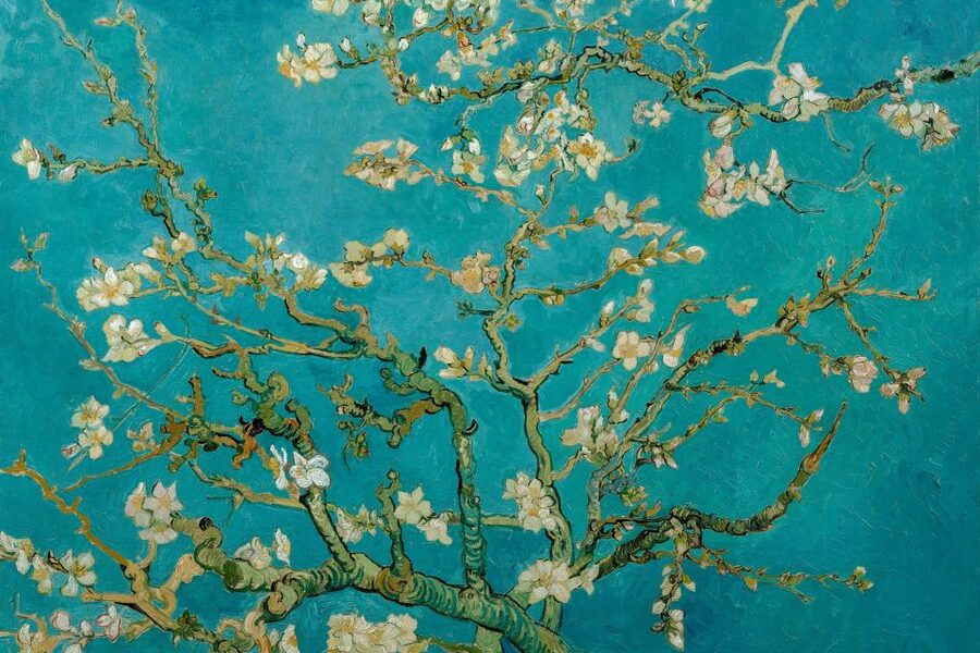 Amsterdam: Van Gogh Museum Ticket & Canal Cruise - Who will enjoy this day most