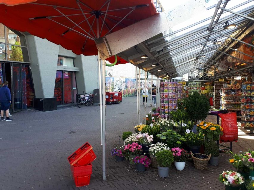 Amsterdam Walking Tour and Canal Cruise - Starting near Amsterdam Central Station