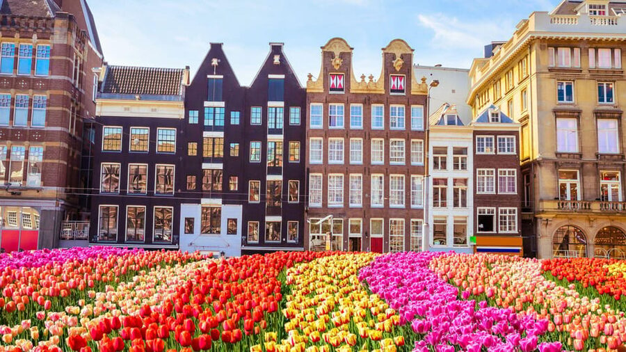 Amsterdam Walking Tour with a Local - Meeting Amsterdam through a local’s eyes