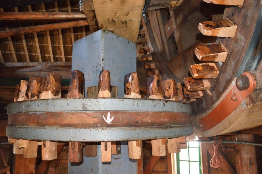 Amsterdam: Windmill Guided Tour - Climbing through a 19th-century machine