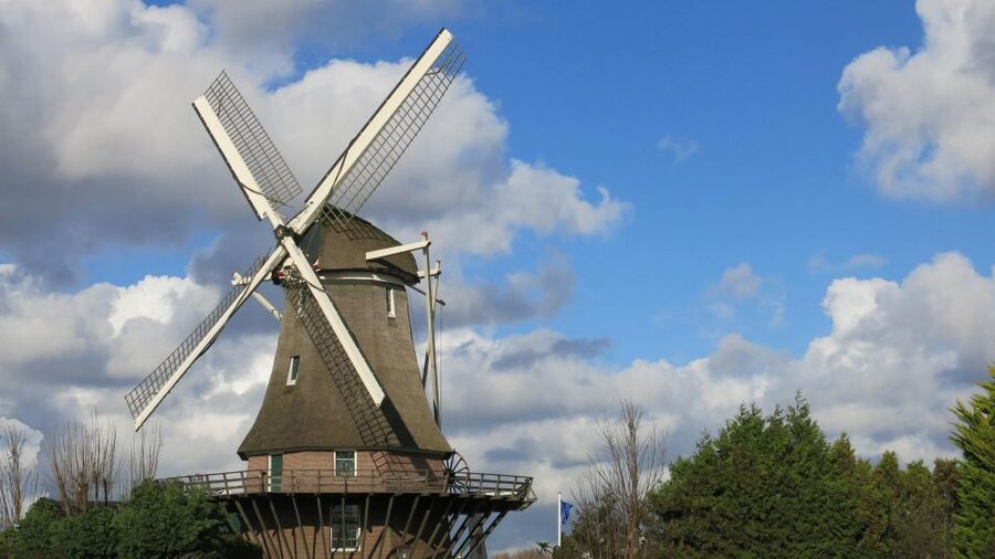 Amsterdam: Windmill Guided Tour - How the guide shapes the experience