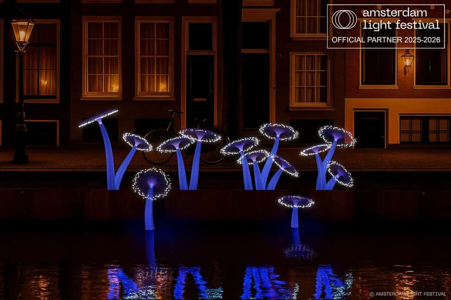 Amsterdam Winter Walking Tour - Romantic bridges and centuries-old churches