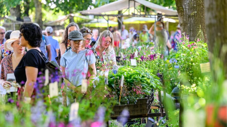 Appeltern: Flower Park Appeltern Entry Ticket - Key points to know before visiting