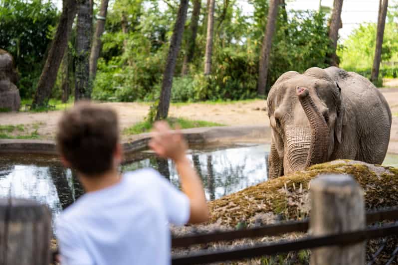 Arnhem: Burgers' Zoo Entry Ticket - Key points to know before you go