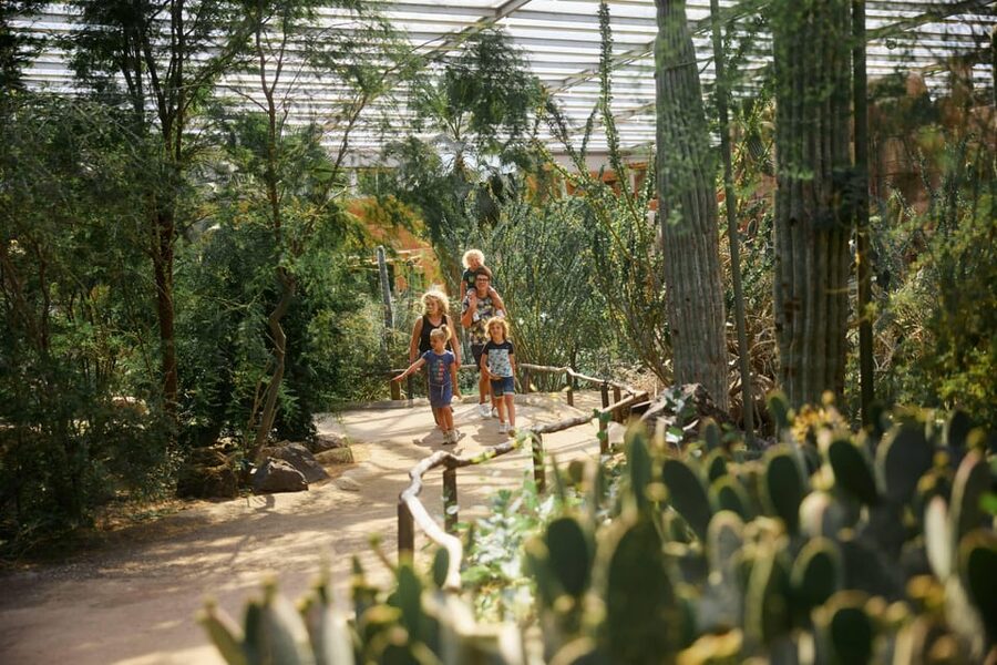 Arnhem: Burgers' Zoo Entry Ticket - Timing, comfort, and access