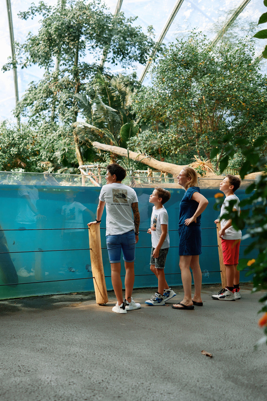 Arnhem: Burgers' Zoo Entry Ticket - The Desert: rock, dry air, and birds above you