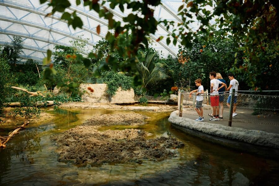 Arnhem: Burgers' Zoo Entry Ticket - The Rimba: a Malay rainforest setting