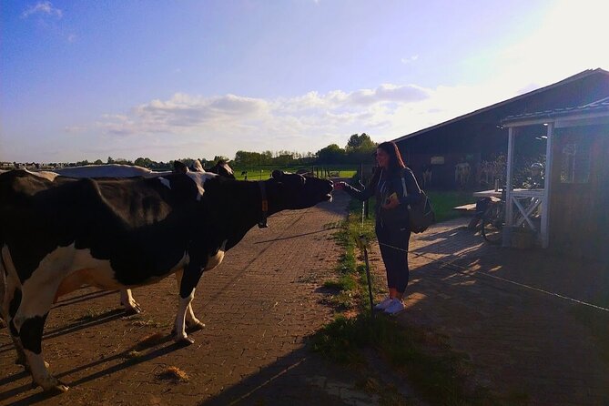 Best of Dutch Countryside: Giethoorn, Windmills, Secret Villages - Cheese, waffles, and a farm visit
