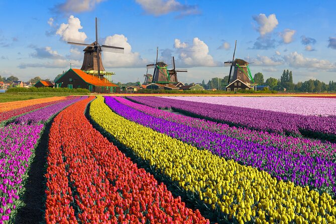 Best of Netherlands: Zaanse Schans Mills, The Hague & Rotterdam - What the $112.29 price really buys