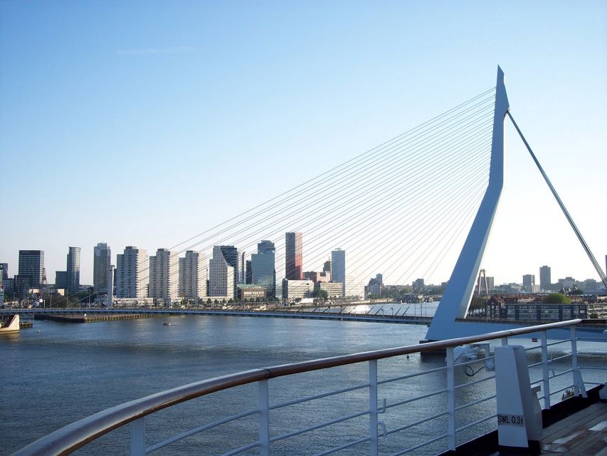 Best of Rotterdam: small-group walking tour - Seeing the city through wartime loss and rebuilding