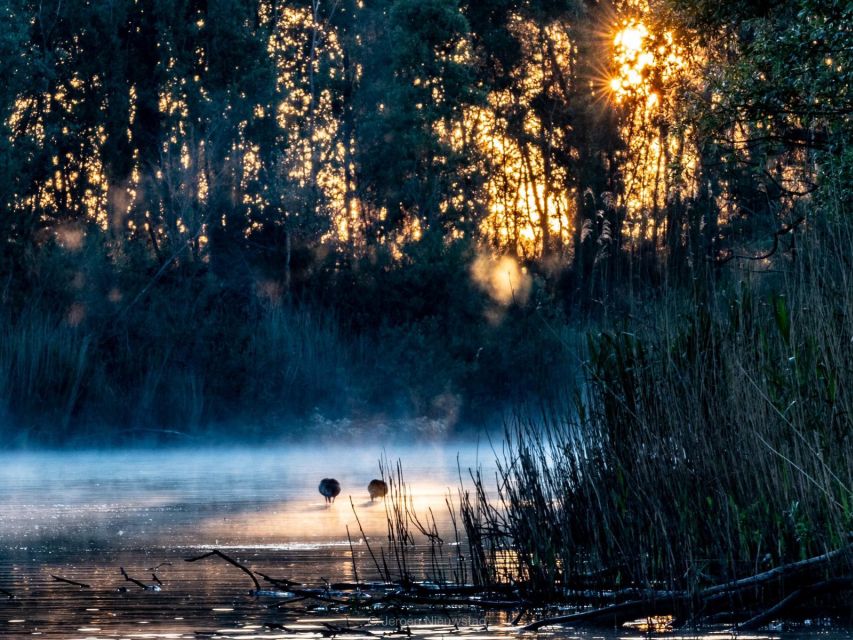 Biesbosch: Boat Cruise through National Park - Booking flexibility and timing