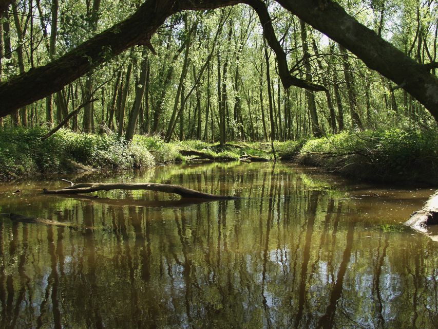 Biesbosch: Boat Cruise through National Park - Setting out from Drimmelen