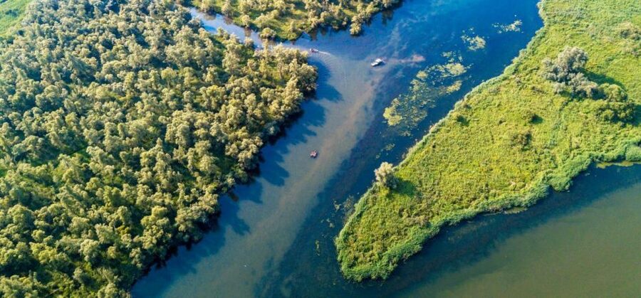 Biesbosch: Boat Cruise through National Park - Seeing the Biesbosch from the deck