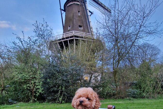 Bill's Bike Tour Amsterdam - Culture, Liberalism & Tolerance - Windmill De Bloem and life below sea level
