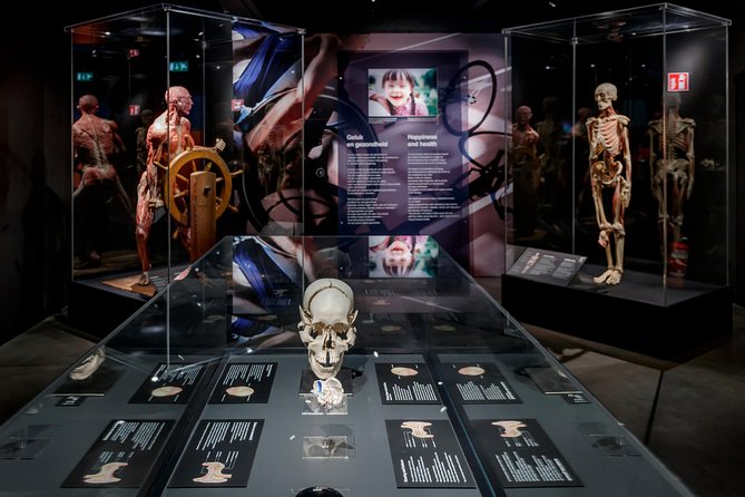 Body Worlds Amsterdam Admission Ticket - Starting on the sixth floor