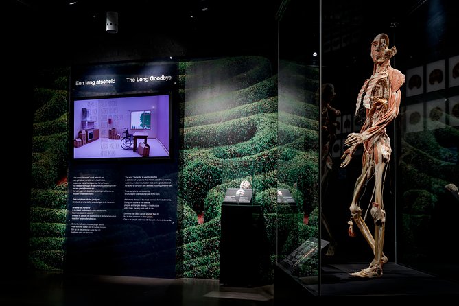 Body Worlds Amsterdam Admission Ticket - The Happiness Project adds a human angle