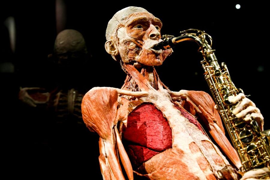 Body Worlds Amsterdam: The Happiness Project Ticket - Key points to know before you go