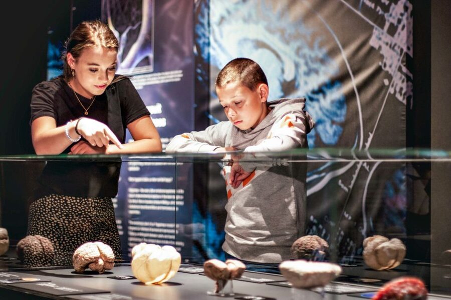 Body Worlds Amsterdam: The Happiness Project Ticket - The InBody Scan adds a personal check