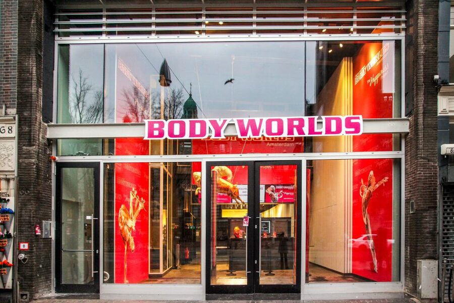 Body Worlds Amsterdam: The Happiness Project Ticket - Start on the sixth floor and work downward