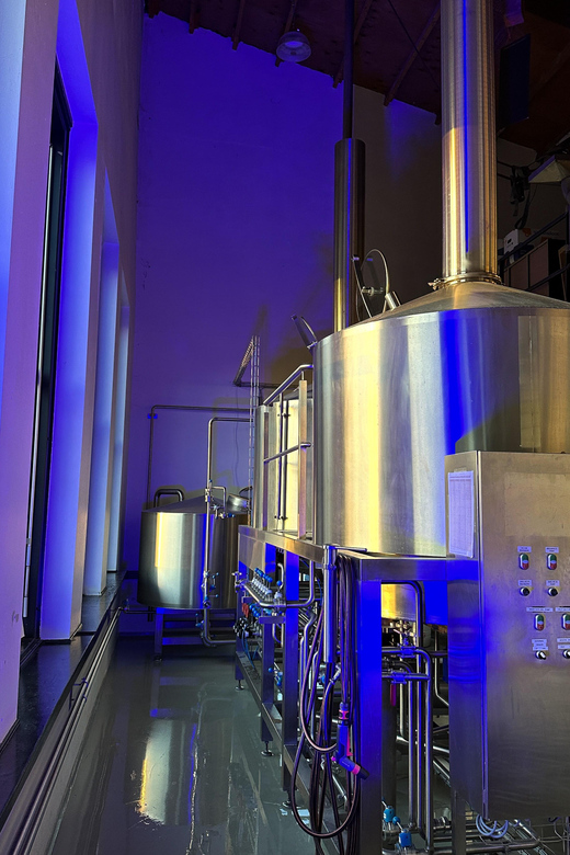 Breugem Brewery: Beer tasting - Key points to know before booking
