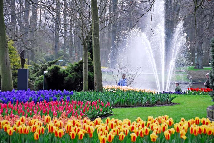 Brussels: Holland Keukenhof & Kinderdijk Guided Day Tour - What makes the Kinderdijk stop worthwhile