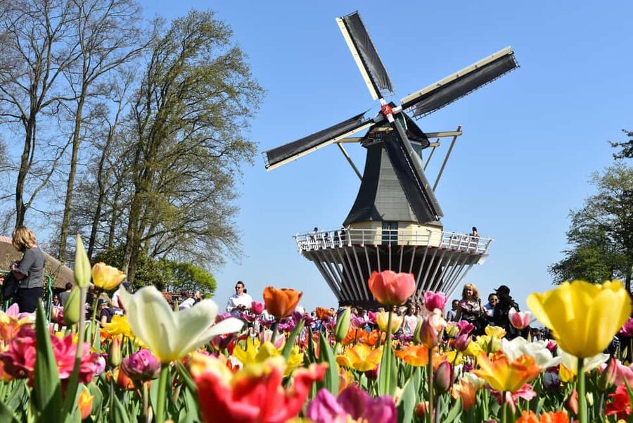 Brussels: Holland Keukenhof & Kinderdijk Guided Day Tour - A realistic look at the timing