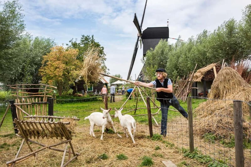 Brussels: Holland Keukenhof & Kinderdijk Guided Day Tour - Should you book the Kinderdijk and Keukenhof tour?